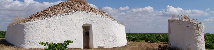 Imagen de detalle cargando carro de uvas.